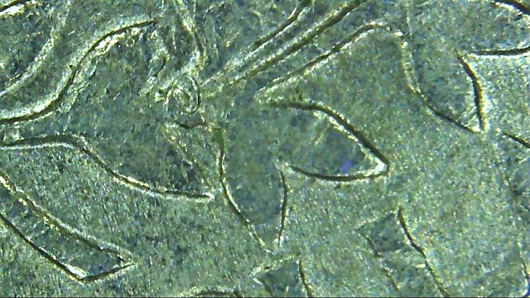 1990-D-Quarter-What-Is-This-Wrapped-Around-The-Stem-Of-The-Leaves?